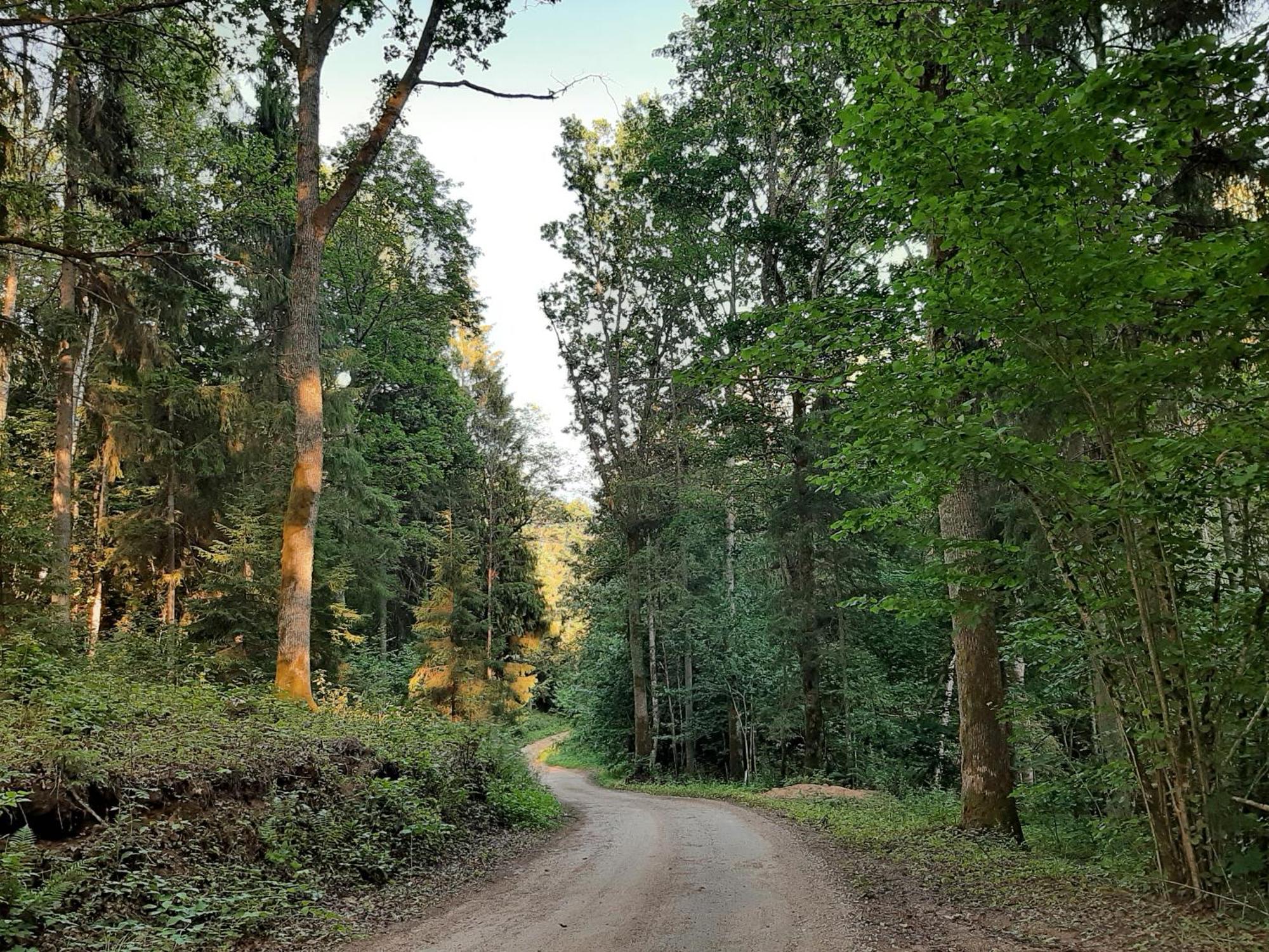 Mosku Pirts Meza Maja Villa Turaida Buitenkant foto